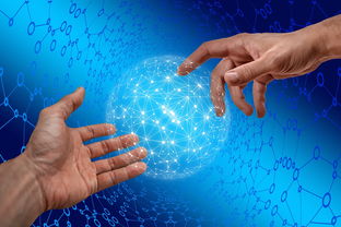 AYX SPORTS-德国仰泳项目技术稳定提升，德国仰泳项目技术稳定提升方案